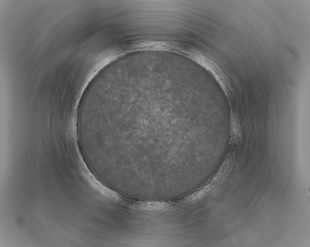 X0000112061090200909010957