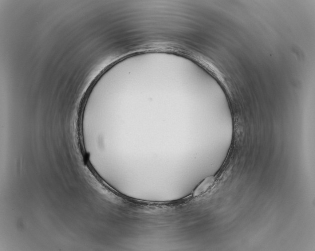 X0000112061091200909010957