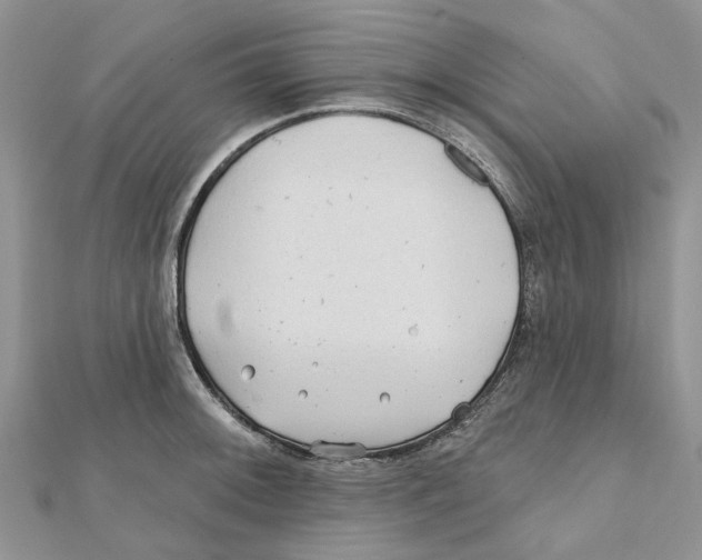 X0000112061092200909010957