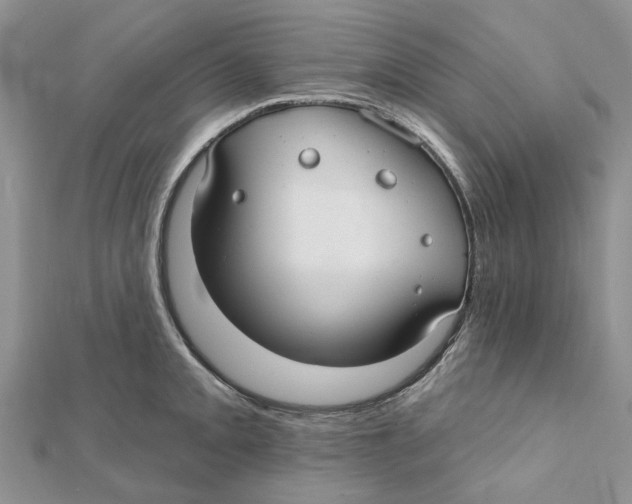 X0000112061093200909010957