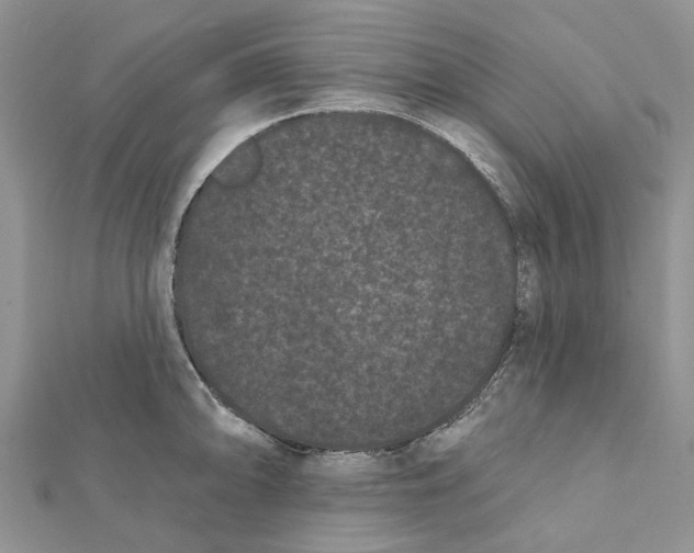 X0000112061094200909010957