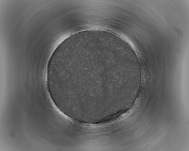 X0000112061095200909010957