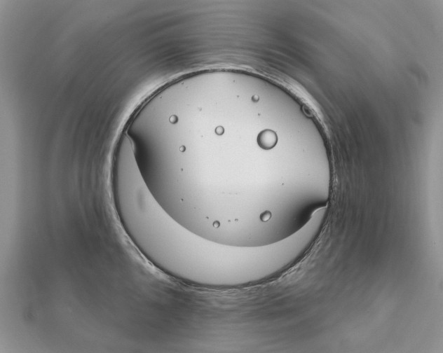 X0000112061096200909010957