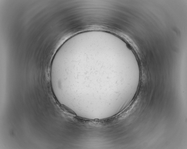 X0000112061097200909010957