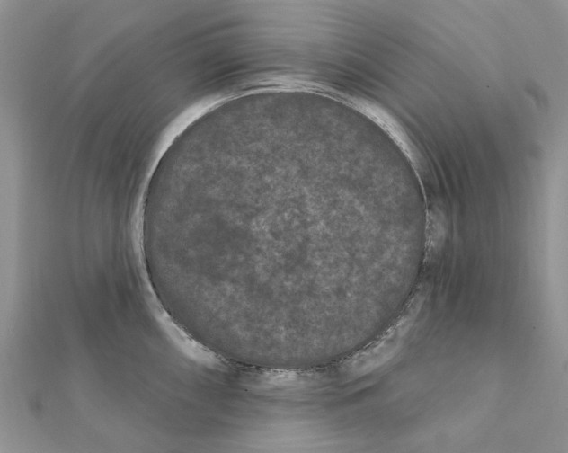 X0000112061098200909010957