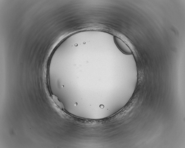 X0000112061099200909010957