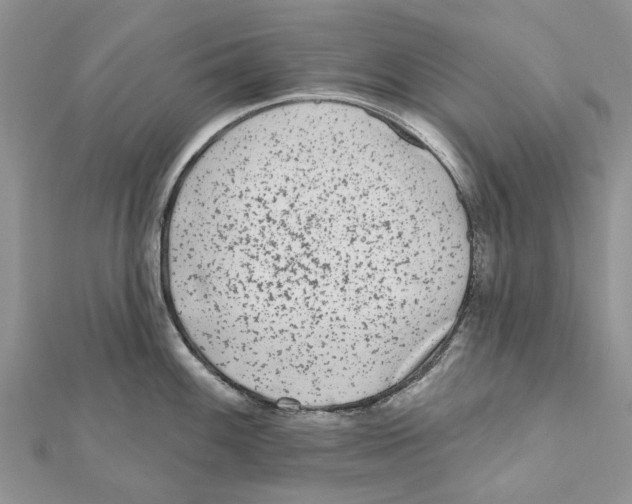 X0000112061100200909010957