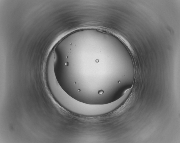 X0000112061101200909010957