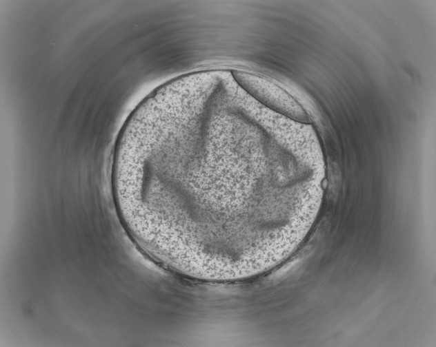 X0000112061102200909010957