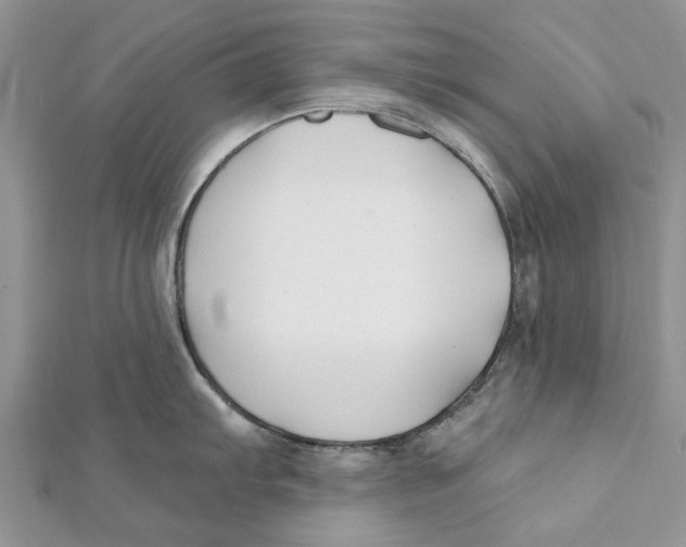 X0000112061103200909010957