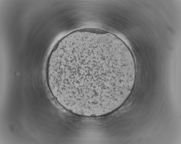 X0000112061104200909010957