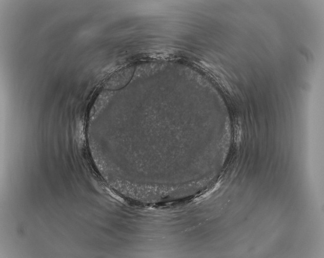 X0000112061106200909010957