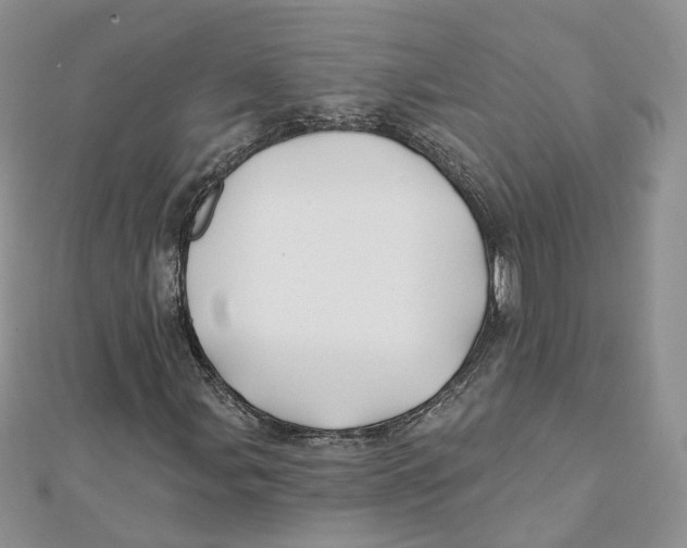 X0000112061107200909010957