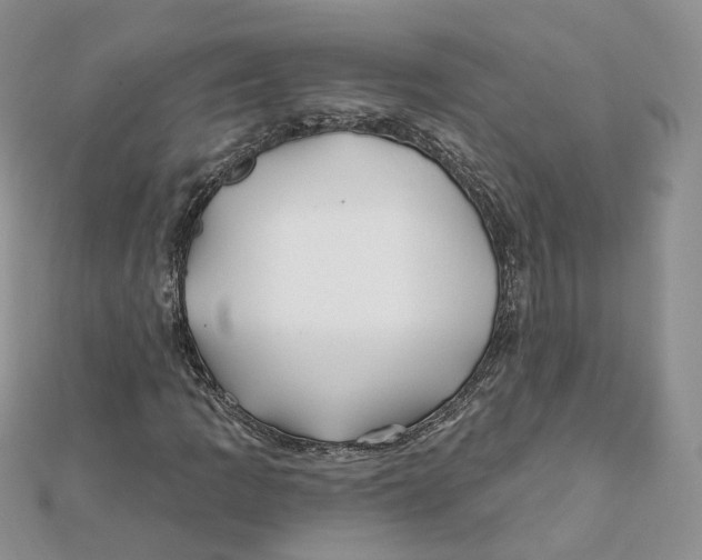 X0000112061109200909010957