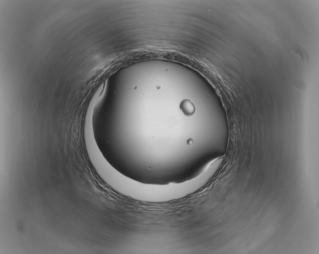 X0000112061110200909010957