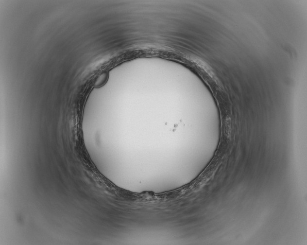 X0000112061111200909010957