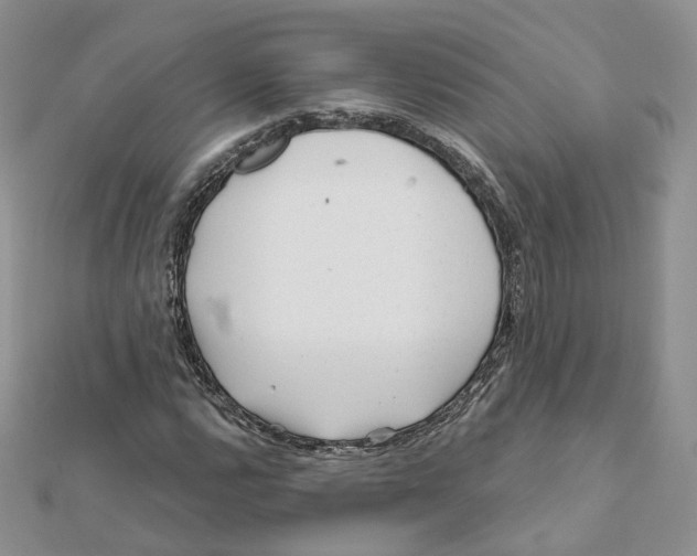 X0000112061112200909010957