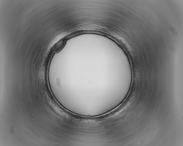 X0000112061114200909010957