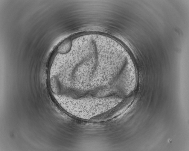 X0000112061115200909010957