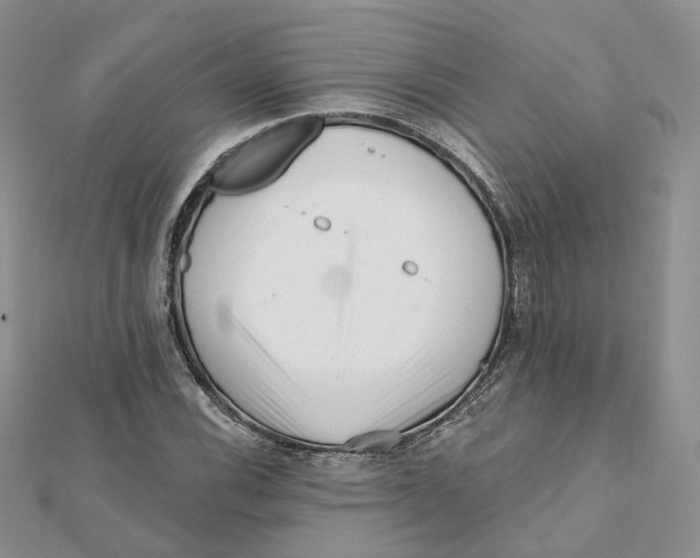 X0000112061116200909010957