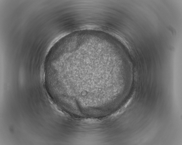 X0000112061117200909010957