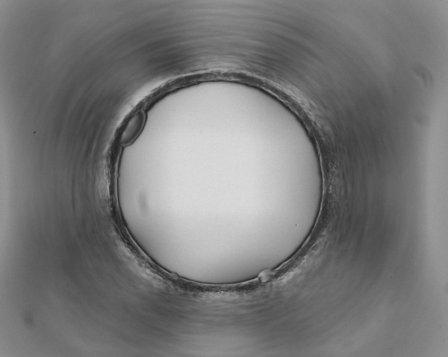 X0000112061118200909010957