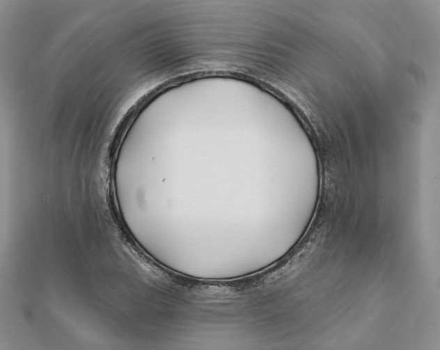 X0000112061119200909010957