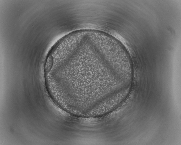 X0000112061120200909010957