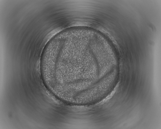 X0000112061121200909010957