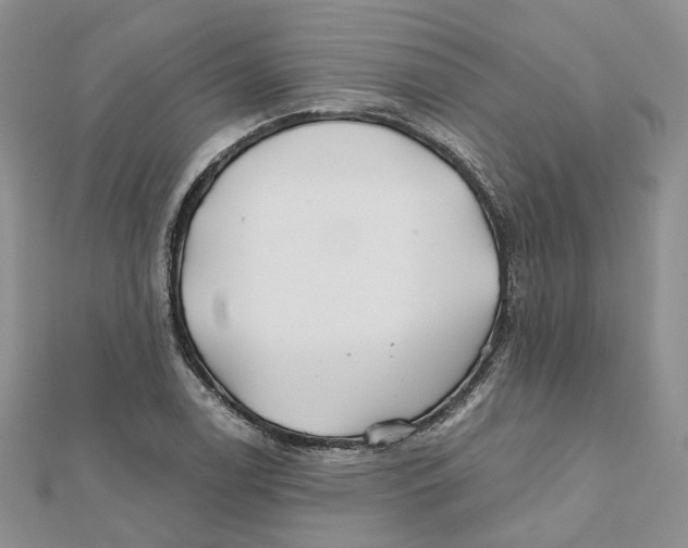 X0000112061122200909010957