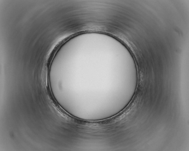 X0000112061123200909010957