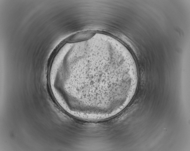 X0000112061124200909010957