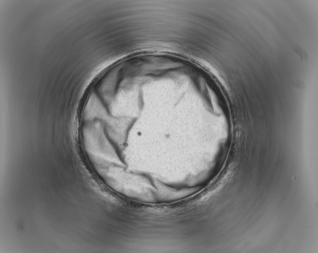 X0000112061125200909010957