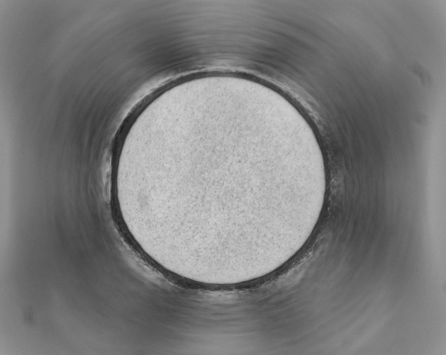 X0000112061126200909010957