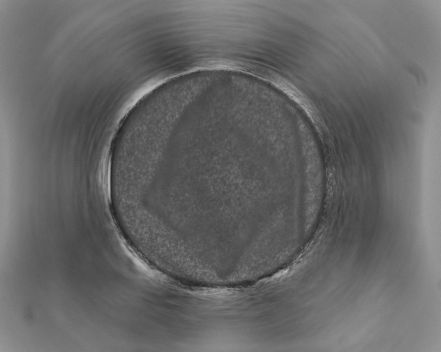 X0000112061127200909010957