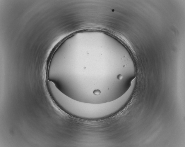 X0000112061128200909010957