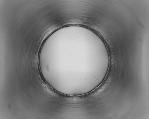 X0000112061129200909010957