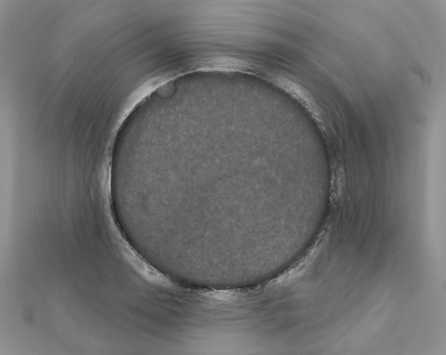 X0000112061130200909010957