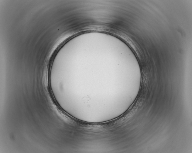 X0000112061131200909010957