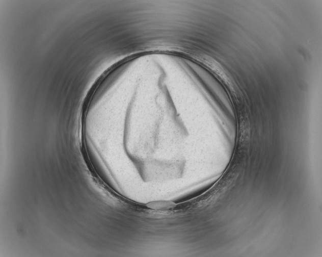 X0000112061132200909010957