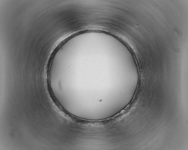 X0000112061133200909010957