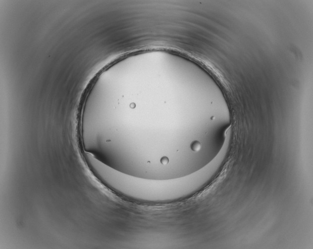 X0000112061134200909010957