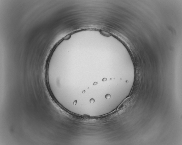 X0000112061135200909010957