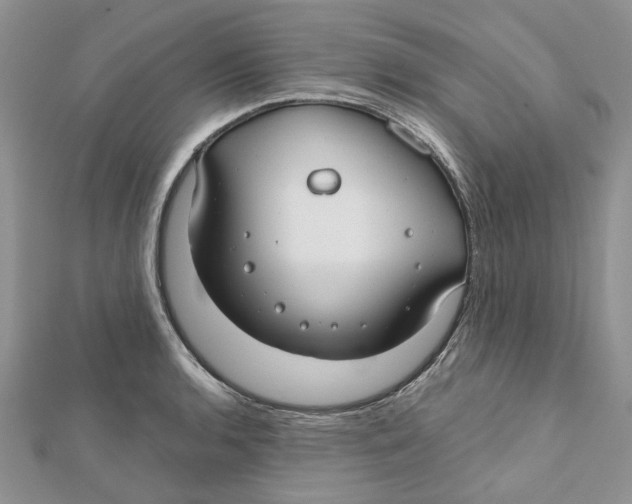 X0000112061136200909010957