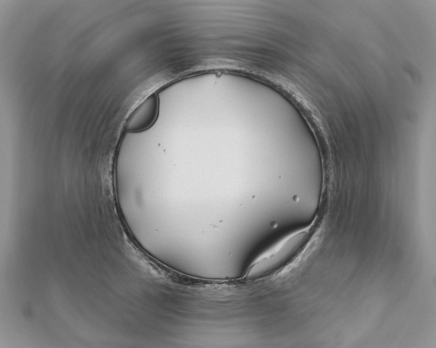 X0000112061137200909010957