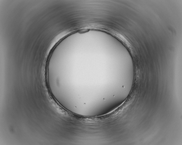 X0000112061138200909010957