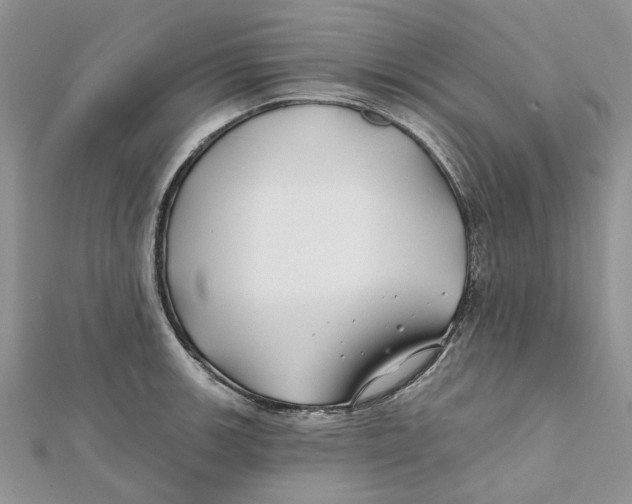 X0000112061139200909010957