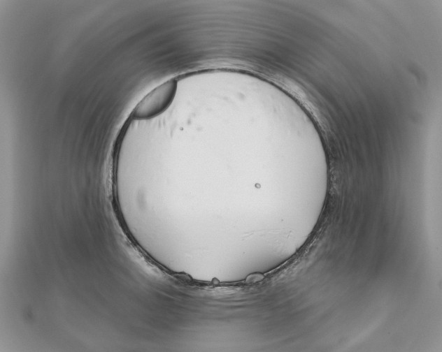 X0000112061140200909010957