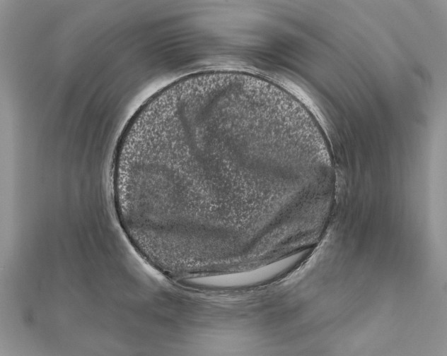 X0000112061141200909010957