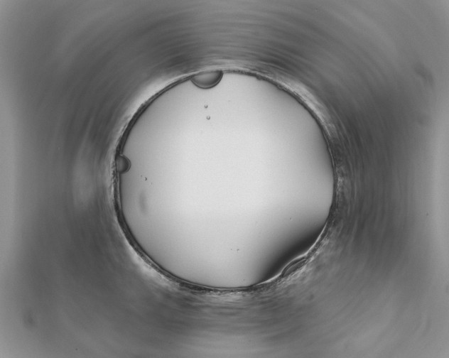 X0000112061143200909010957